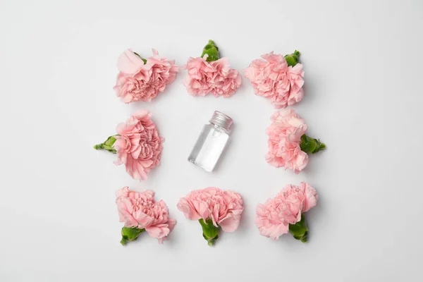 Flat lay of carnations flowers in square arranging and cosmetic bottle on white background — Stock Photo