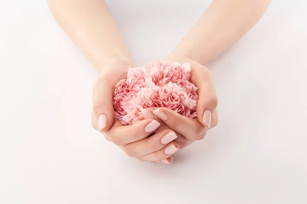 Vista parziale di mani femminili con fiori di garofani su sfondo bianco — Foto stock