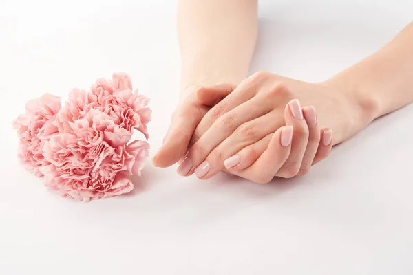Vista parcial de las manos femeninas y las flores de claveles sobre fondo blanco - foto de stock