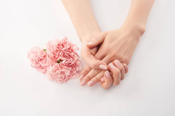 Vista parcial de las manos femeninas y las flores de claveles sobre fondo blanco - foto de stock