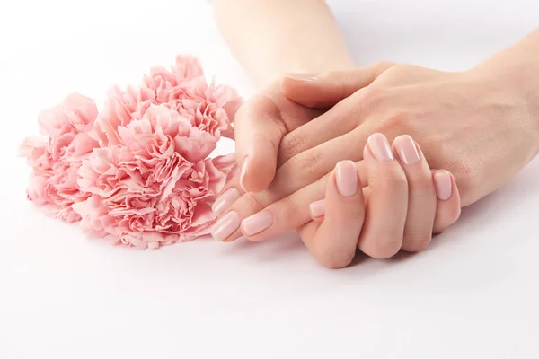 Partial view of female hands and carnations flowers on white background — Stock Photo