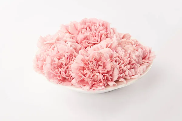 Pink carnations flowers in round plate on white background — Stock Photo