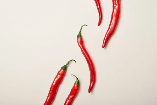 Flat lay with red chili peppers on grey background — Stock Photo