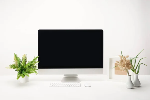 Робоче місце з зеленими рослинами і настільним комп'ютером з копіювальним простором ізольовано на білому — стокове фото