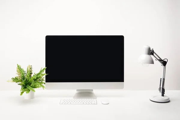 Workplace with lamp, green plant and desktop computer with copy space isolated on white — Stock Photo