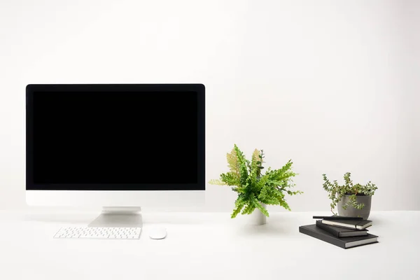 Lugar de trabajo con plantas verdes, cuadernos y computadora de escritorio con espacio de copia aislado en blanco - foto de stock