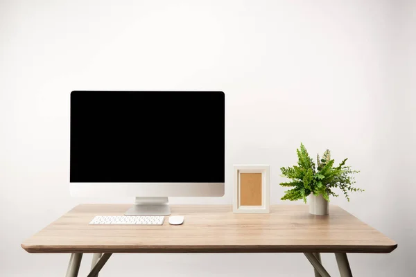 Local de trabalho com planta verde, moldura da foto e computador desktop com espaço de cópia isolado no branco — Fotografia de Stock