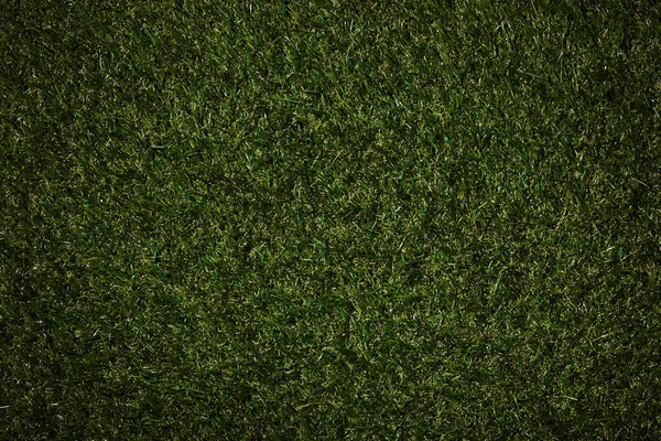 Top view of field with green grass — Stock Photo
