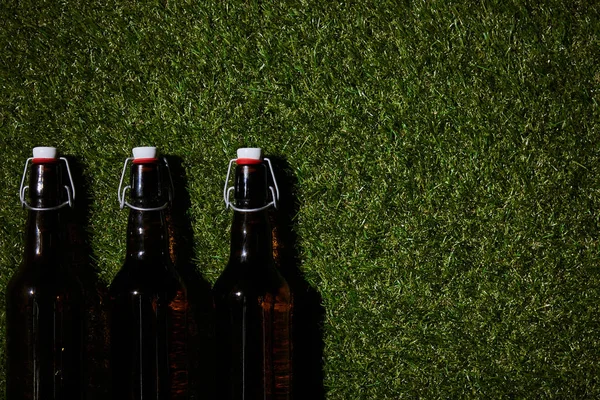 Вид зверху на коричневі пляшки з пивом, що лежить на траві — стокове фото