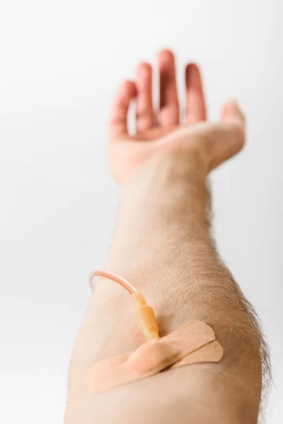 Vista recortada del donante de sangre con catéter y yeso sobre fondo gris, concepto de donación de sangre - foto de stock