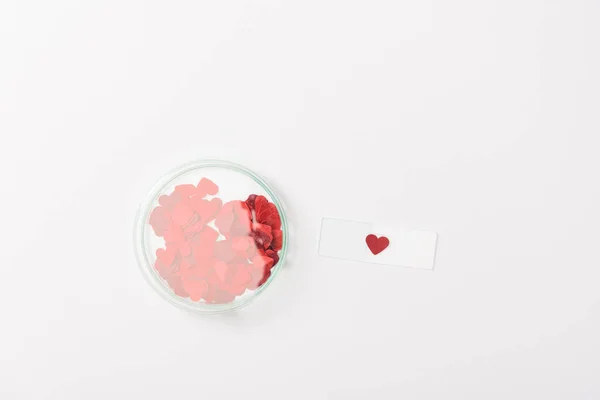 Top view of paper hearts isolated on grey — Stock Photo
