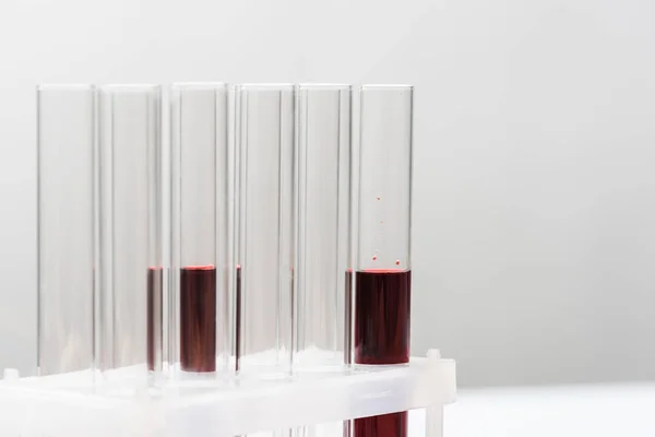 Тестові трубки з кров'ю на сірому фоні — стокове фото