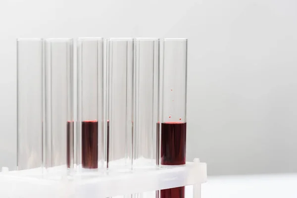 Test tubes with blood on grey background — Stock Photo