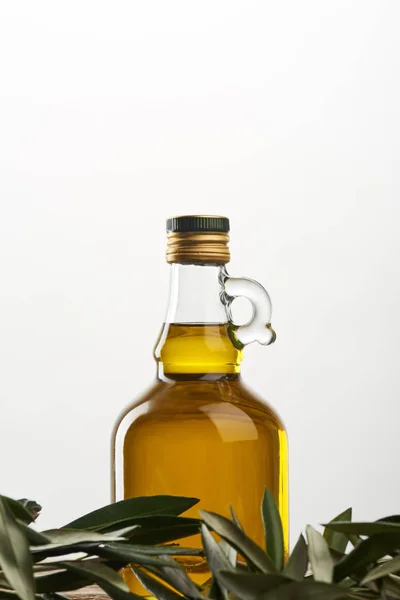 Бутылка масла и оливкового дерева листья изолированы на сером — стоковое фото