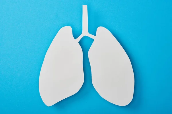 Vista superior del modelo de pulmones blancos vacíos aislados en azul - foto de stock