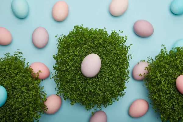 Top view of painted easter eggs on grass on blue background — Stock Photo