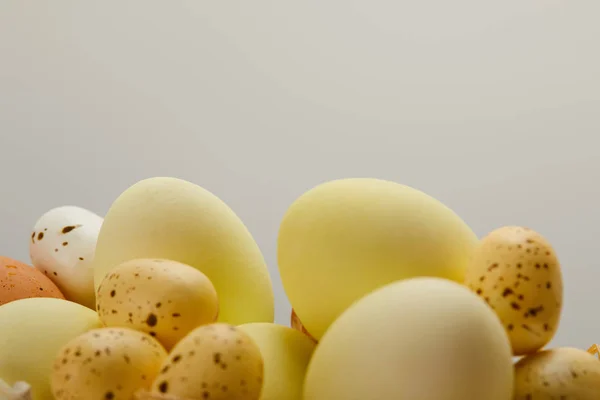 Primer plano de pollo de Pascua y huevos de codorniz con espacio para copiar - foto de stock