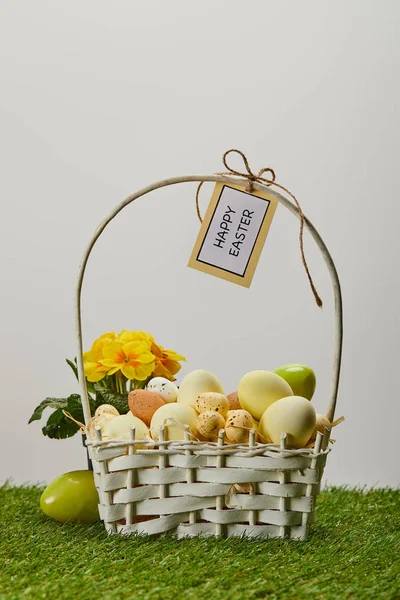 Пасхальные яйца курицы и перепела в соломенной корзине с цветами и открыткой с радостными пасхальными надписями на траве — стоковое фото