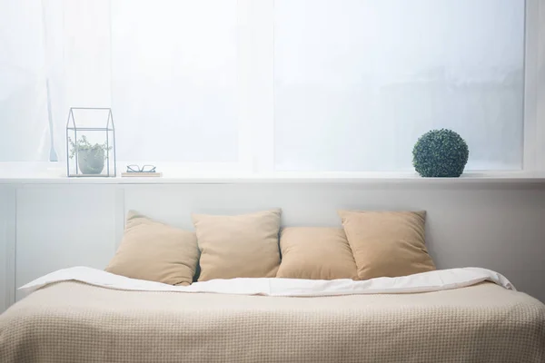 Dormitorio con almohadas marrones y manta blanca en la cama vacía, plantas y vasos - foto de stock