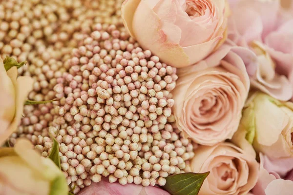 Gros plan du bouquet de roses et pivoines beiges — Photo de stock
