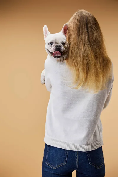 Frau hält auf Schulter französische Bulldogge auf beigem Hintergrund — Stockfoto