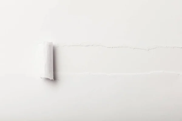 Zerrissenes Papier mit Rollrand und Kopierraum auf weißem Hintergrund — Stockfoto