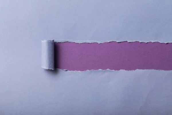 Papier bleu déchiré avec bord roulé sur fond violet — Photo de stock