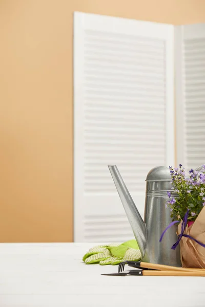 Purple flowers in flowerpot with paper and watering can — Stock Photo