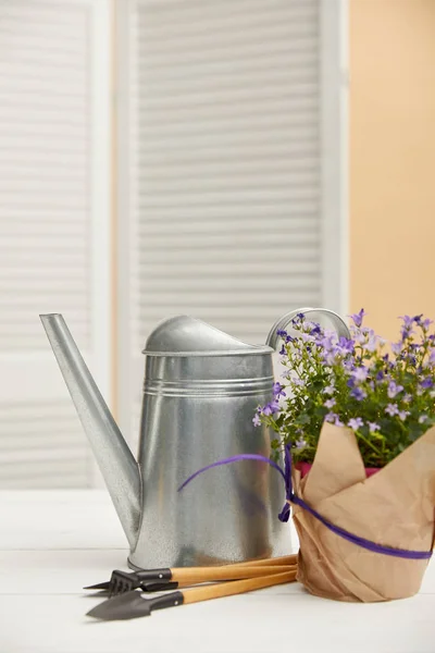 Purple flowers in flowerpot with paper, watering can, tools — Stock Photo