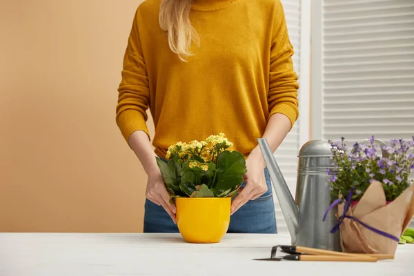 Partial view of gardener holding yellow flowerpot with flowers — Stock Photo