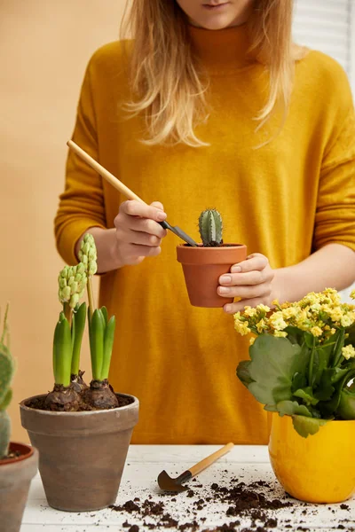 Cropped view of gardener in sweater planting cactus in flowerpot with spade — Stock Photo
