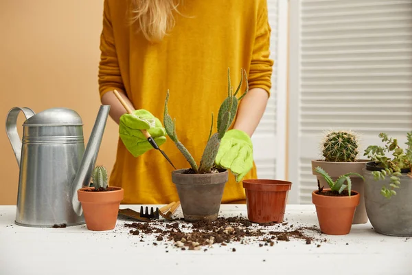 Partial view of gardener in yellow sweater planting cactus in flowerpot with spade — Stock Photo