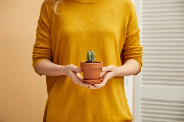 Vista cortada de mulher em suéter amarelo segurando cacto em vaso de flores — Fotografia de Stock