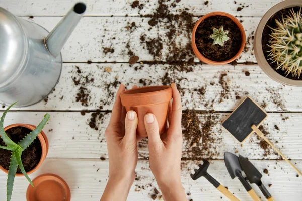 Teilansicht des Gärtners, der einen tönernen Blumentopf zwischen Pflanzen, Werkzeug und Gießkanne hält — Stockfoto