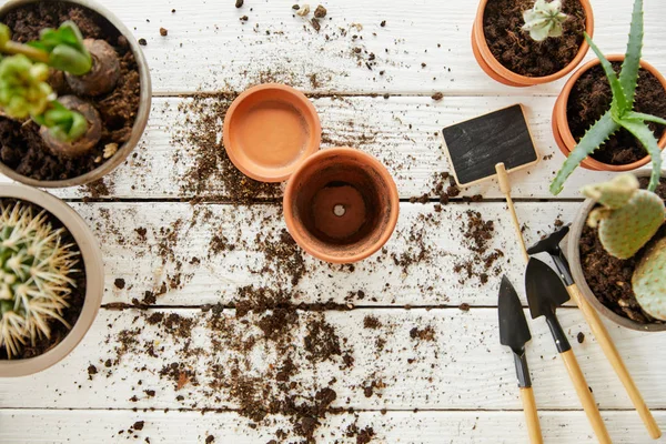 Vue de dessus des pots de fleurs en argile parmi les plantes et les outils — Photo de stock