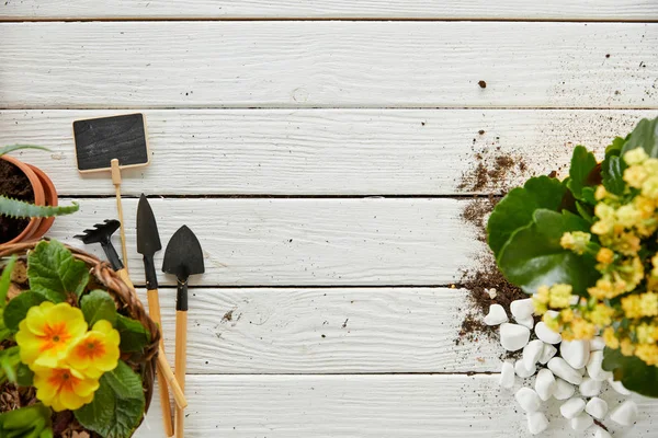 Ansicht von gelben Blumen auf weißem Tisch mit Werkzeugen und Steinen — Stockfoto