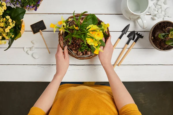 Vista cortada de mulher em suéter amarelo segurando narcisos — Fotografia de Stock