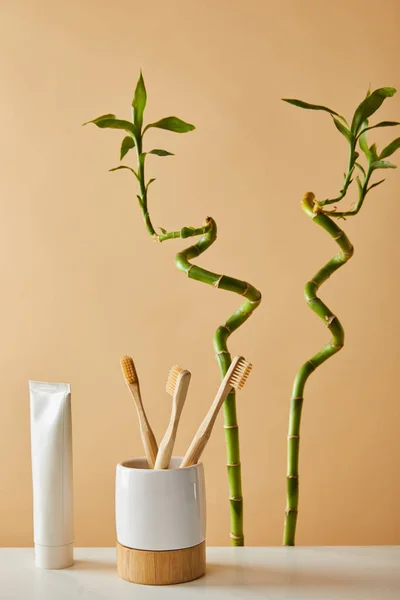 Zahnpasta in der Tube, Zahnbürsten im Halter auf dem Tisch und grüner Bambus auf beigem Hintergrund — Stockfoto