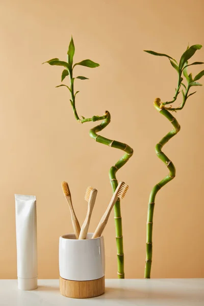 Toothpaste in tube, toothbrushes in holder on table and green bamboo on beige background — Stock Photo