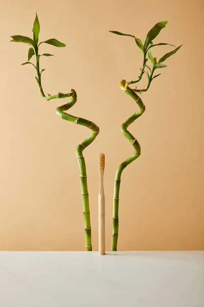 Cepillo de dientes de bambú sobre mesa blanca y tallos de bambú verde sobre fondo beige - foto de stock