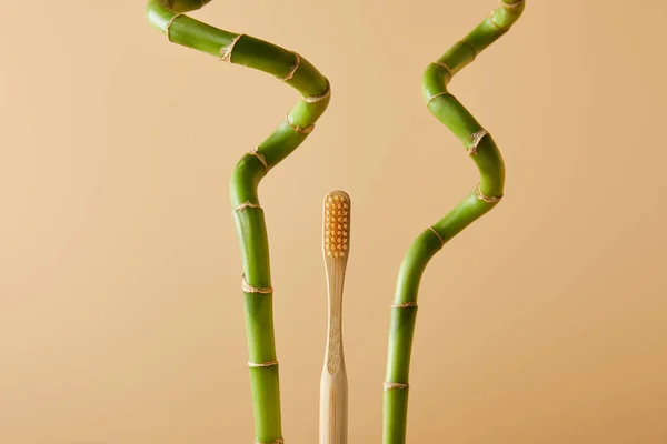 Бамбукова зубна щітка і зелені бамбукові стебла на бежевому фоні — стокове фото