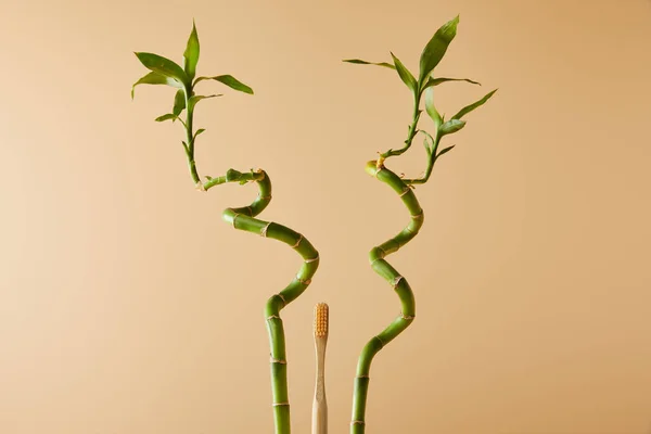 Зубная щетка бамбука с зеленым бамбуком на бежевом фоне — стоковое фото