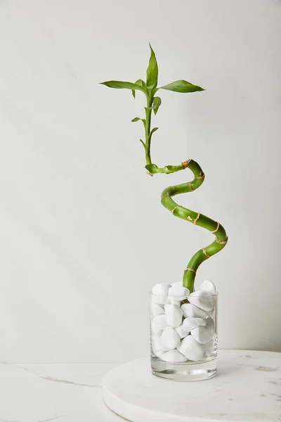 Placa redonda e haste de bambu verde em vaso com pedras sobre fundo de mármore branco — Fotografia de Stock