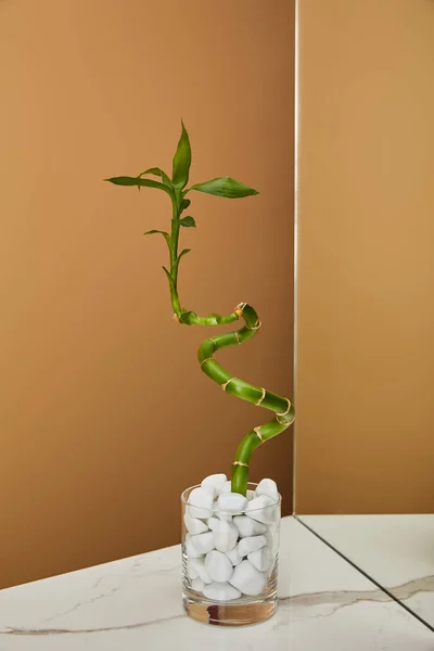 Haste de bambu em vaso com pedras e espelho sobre mesa de mármore branco e fundo bege — Fotografia de Stock