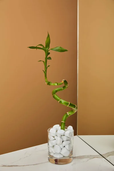 Vástago de bambú en jarrón con piedras y espejo sobre mesa de mármol blanco y fondo beige - foto de stock