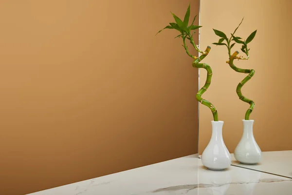 Зеленый бамбуковый стебель в вазе и зеркале на белом мраморном столе и бежевом фоне — стоковое фото