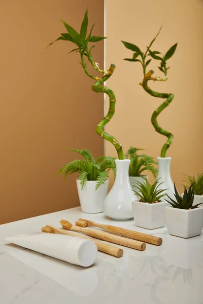 Tallo de bambú verde en jarrón y macetas con plantas, pasta de dientes en tubo, cepillos de dientes al lado del espejo en la mesa blanca y fondo beige — Stock Photo