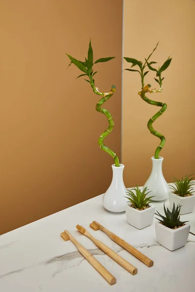 Haste de bambu verde em vaso, vasos com plantas e escovas de dentes ao lado do espelho na mesa branca e fundo bege — Fotografia de Stock