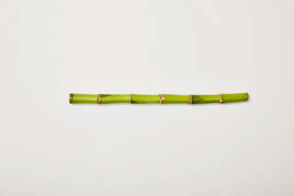 Top view of green bamboo stem on white background — Stock Photo