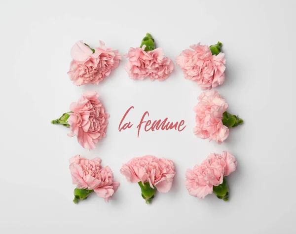 Vista dall'alto di cornice floreale fatta di garofani rosa su sfondo bianco con la femme lettering — Foto stock